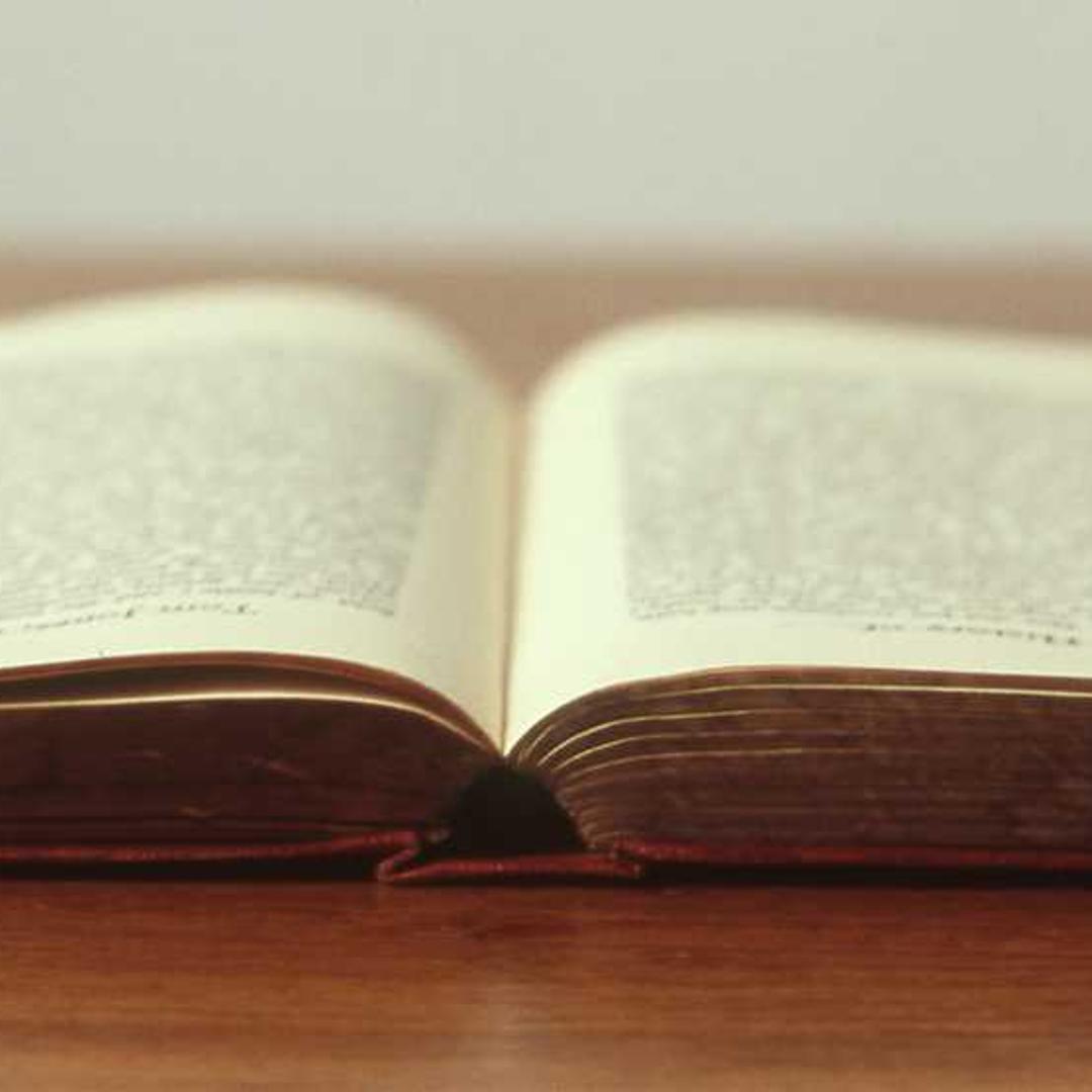 Immagine 2